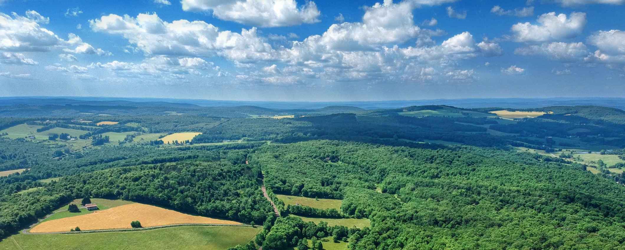 Luchtfoto van een uitgestrekt landschap met bossen, velden en heuvels.