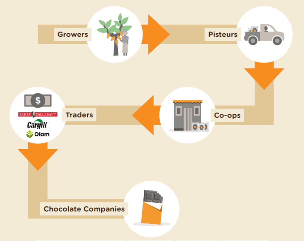 La chaîne de production du cacao