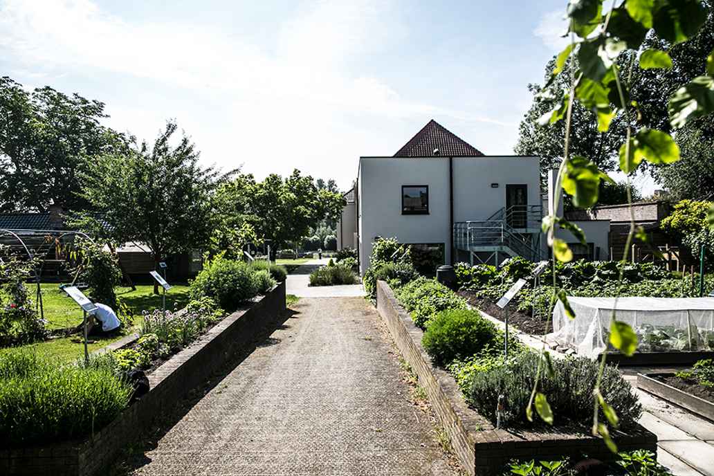De Overmolen - triodos